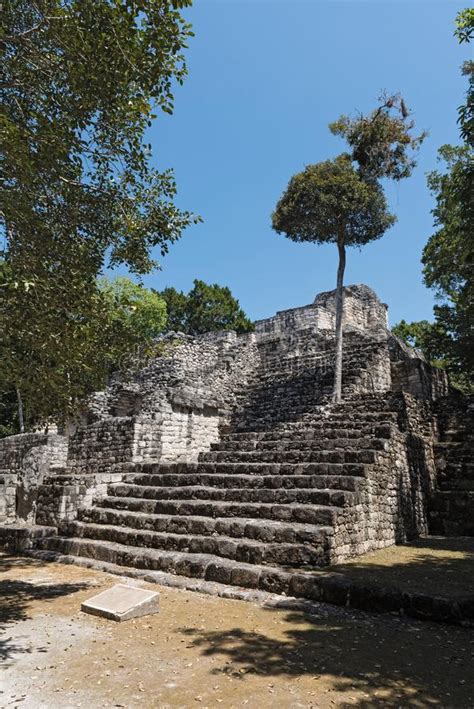 The Ruins of the Ancient Mayan City of Hormiguero, Campeche, Mexico ...