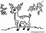 Cute Little Deer Coloring Page  Free Printable Pages sketch template