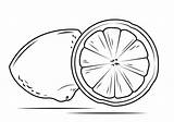 Lemon Cross Section Coloring Page  Free Printable Coloring Pages sketch template
