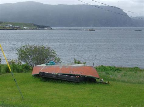 Gros Morne Wildlife Museum (Rocky Harbour) - All You Need to Know BEFORE You Go - Updated 2020 ...