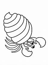 Hermit Crab Coloring Pages Printable For Free Download sketch template