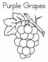 Grapes Printable Coloring Page sketch template