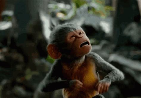 Monkey Bleh GIF - Monkey Bleh Tongue Out - Discover & Share GIFs