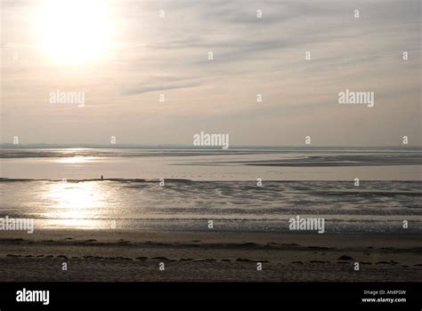 a walker on the beach of Le Crotoy to the sunset, Bay of Somme. un promeneur sur la plage de Le ...