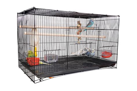 Buy AVI CRAVE Bird cage Large 2.5 feet for Parrot,Finches,Love Birds ...