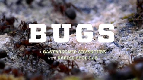 BUGS the film – Will eating insects save our Earth? – official trailer ...