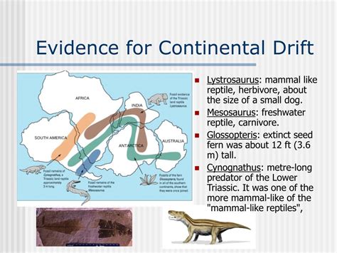 PPT - Plate Tectonics: Continental Drift PowerPoint Presentation, free download - ID:630182