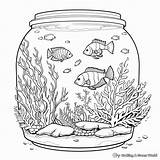 Aquarium Coloring Pages  Free & Printable sketch template