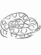 Corn Snake coloring Page  Free Printable Coloring Pages sketch template
