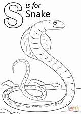 Letter S Is For Snake coloring Page  Free Printable Coloring Pages sketch template
