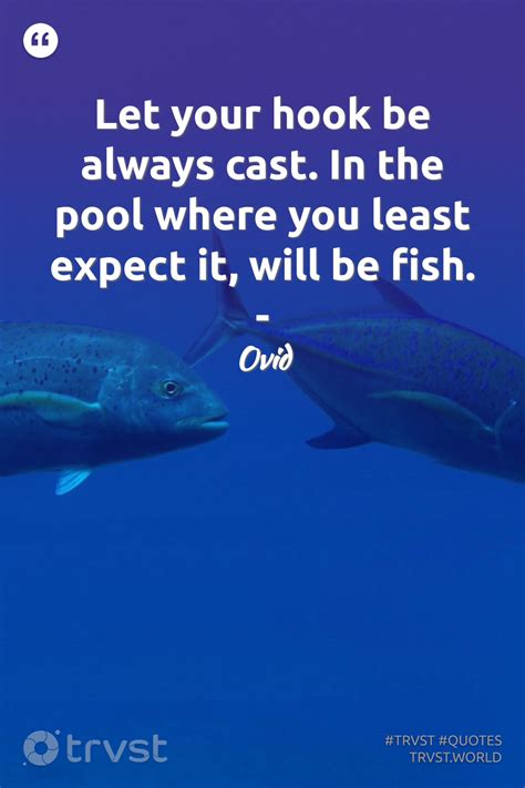 Fish Quotes | Fishing quotes, Fish, Biodiversity