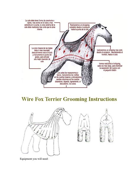 Wire Fox Terrier Grooming Instructions | Scissors | Eyebrow