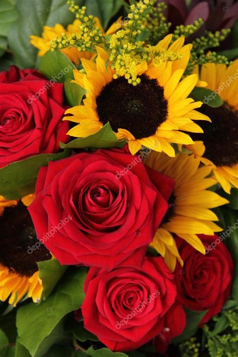 Red roses and sunflowers in a floral arrangement Stock Photo by ©portosabbia 36954181