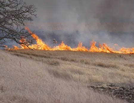 Wildfire conditions across much of Minnesota improving | The Mighty 790 KFGO | KFGO