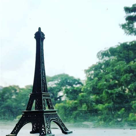 15+ Paris Souvenir Ideas to Remember Your Trip - WhyThisPlace.com