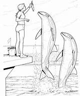 20  Free Printable Dolphin Coloring Pages EverFreeColoringcom sketch template