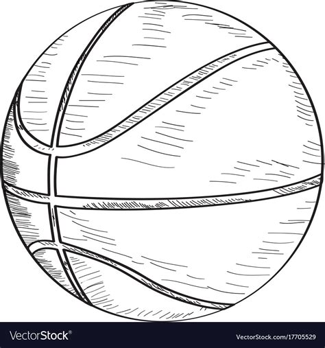 Sketch of a basketball ball Royalty Free Vector Image