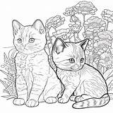 Dog And Cat Coloring Pages Printable Pdf  Free Sheet sketch template