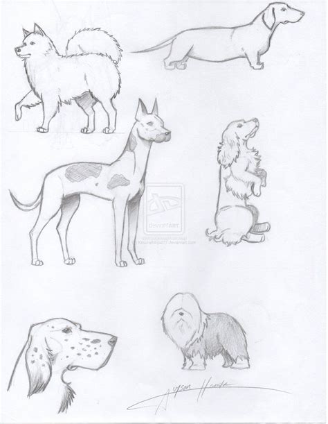 How To Draw A Realistic Dog Step By Step For Beginners