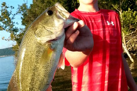 Bass Fishing: 10 Tips to Catch Bass More Consistently – The Bass Fishing Life