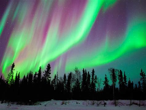 Yellowknife Northern Lights Tourism – Shelly Lighting