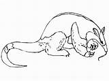 Anteater Coloring Pages  Best For Kids sketch template