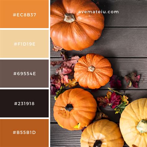 Orange Pumpkins on Gray Wooden Surface Color Palette #79 - Ave Mateiu