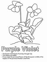 Purple Coloring Pages sketch template