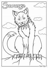 Warrior Cat Coloring Sheets sketch template