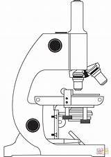 Microscopio Colorear Mikroskop Disegno Partes Microscoop Malvorlage  sketch template