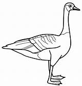 Goose Coloring Page sketch template