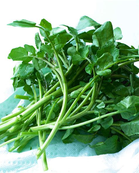 Watercress Recipes | Martha Stewart