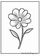 Flower Coloring Activity Sheet sketch template