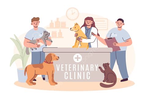 Veterinarian Clinic Vet Pet Doctor, Puppy, People, Veterinarian PNG and ...