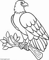 Eagle Coloring Pages 27 Free Printables  ColoringAll sketch template