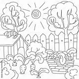 Vector coloring Book Carrots In The Garden Stock  Adobe sketch template