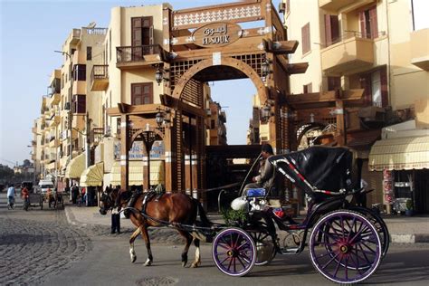 Luxor Tour by Horse-Drawn Carriage - Introducing Egypt