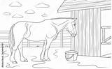 Stable Coloring Page sketch template
