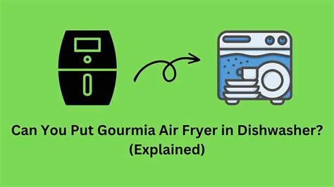 Can You Put Gourmia Air Fryer in Dishwasher? (Explained)