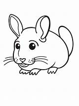 Cartoon Chinchilla coloring Page sketch template
