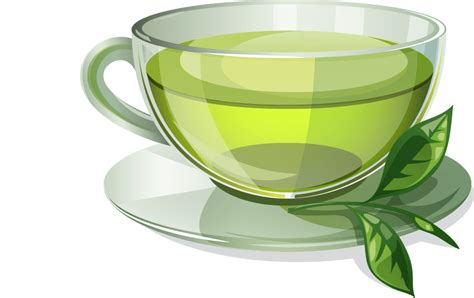 Green tea Coffee Herbal tea - crazy shopping png download - 900*567 - Free Transparent Green Tea ...