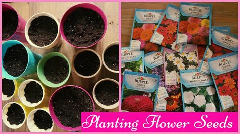 Planting Flower Seeds