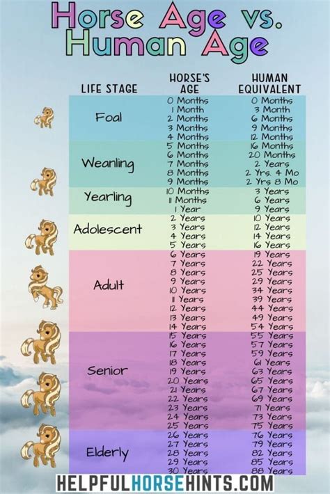 The Lifespan of Horses: Comparing Age to Humans