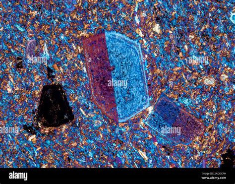 Andelatite mineral rock crystals, polarised light micrograph. This rock ...