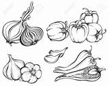 Spices Coloring Template Pages Spice Sketch Page sketch template
