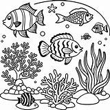 aquarium coloring pages For Kids 47024569 Vector Art At Vecteezy sketch template