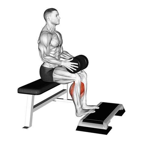 Seated Calf Raises: Benefits, Muscles Worked, and More - Inspire US