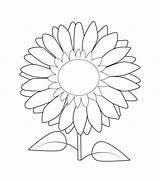 Beautiful Sunflower coloring Page  Download Print Or Color Online For sketch template
