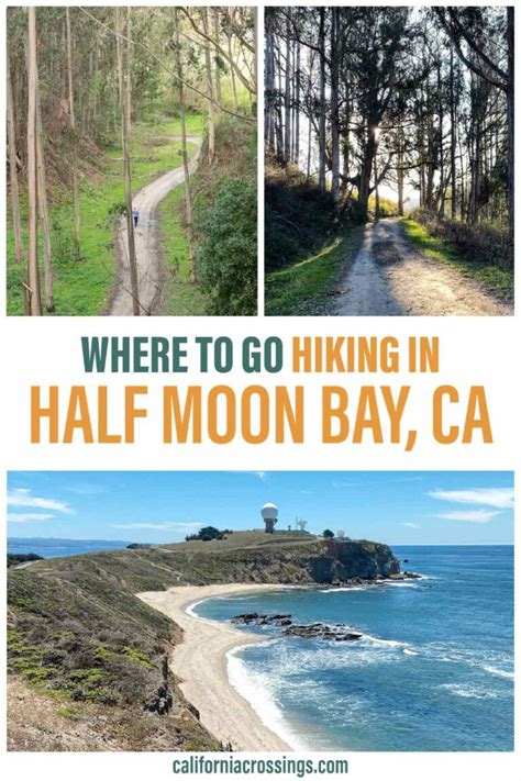 Find the Best Hiking in Half Moon Bay: 11 Trails for all Levels