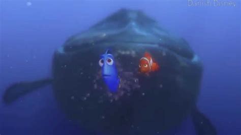 Finding Nemo The Whale